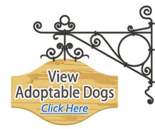 View Adoptable Dogs (Click Here)