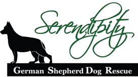 Serendipity German Shepherd Dog Rescue