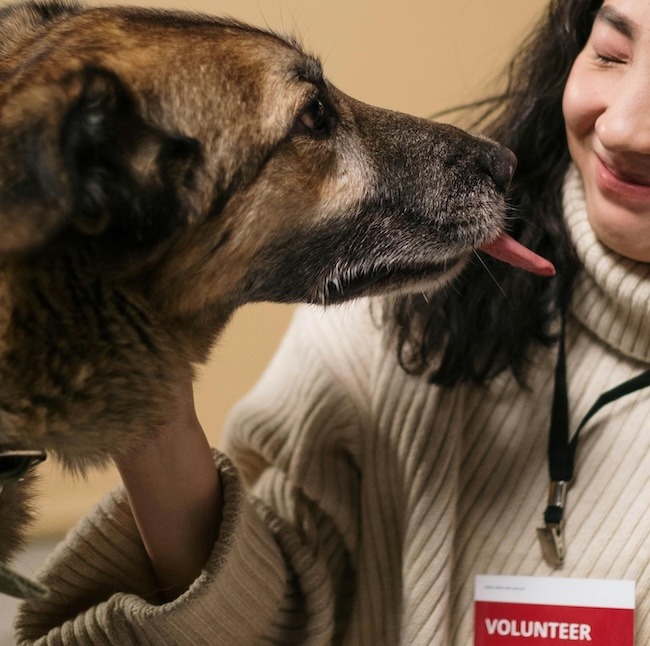 volunteer petting dog and getting a kiss